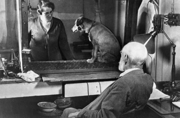 pavlov and his experiments